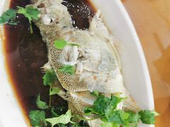 清蒸鲈鱼-同发号饭庄(复兴路店)