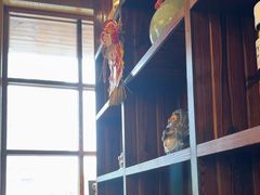-鸟鹏烧鸟居酒屋(昌岗店)