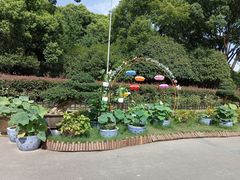 -黄兴公园