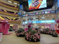 -上海长风大悦城