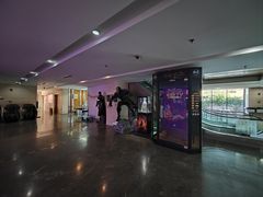 -天幕新彩云国际影城(激光巨幕店)