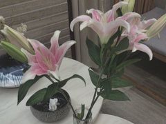 -云中漫步·足疗养生会馆(金开店)