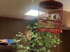 -将军牛排·尔滨地标朝鲜族美食(总店)