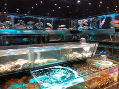 -金翠皇宫粤菜·点心·海鲜(科技园店)
