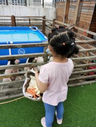 点击看大图 -小蜜蜂农场(凯德七宝购物广场店)