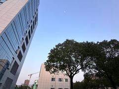 -上海永慈康复医院