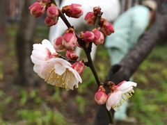 -静安雕塑公园
