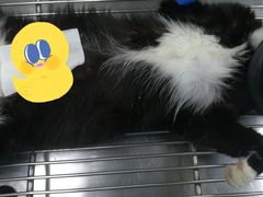 -荔康动物医院(康王北路店)