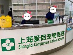 -爱侣宠医·鹦鹉专科·小型哺乳类·异宠专科(灵石路店)
