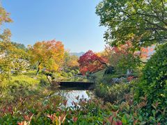 -周震馄饨(雅达阳羡溪山店)
