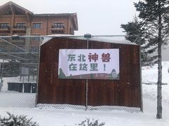 -长白山万达喜来登度假酒店