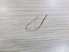 -金原鸭血粉丝汤总店(锁金村店)