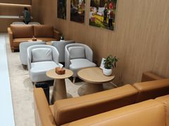 -XPEL旗舰店·汽车贴膜·隐形车衣·改色贴膜