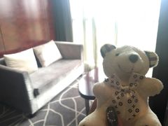 -常州环球恐龙城维景国际大酒店
