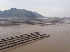 mm&nbsp;190-北岐滩涂