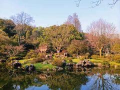 -杭州植物园