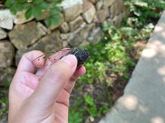 -湖洞水自然风景区