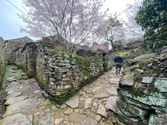 -许家山