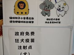 -宠物星动物医院·眼科·异宠·猫科(江南大道总院)