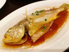 -京香轩·中餐厅(上海中庚聚龙酒店)