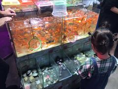 -大学城夜市大排档(凤栖路店)