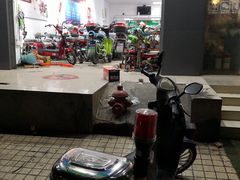 -绿源电动车(普陀专卖店)