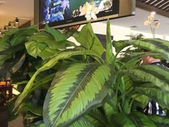 -渔米粥(罗湖店)