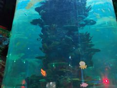 -青岛嘉年华主题乐园