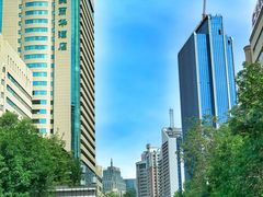 -新疆国际大巴扎