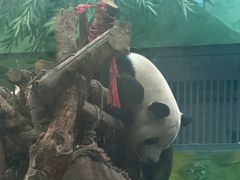 -黔灵山公园