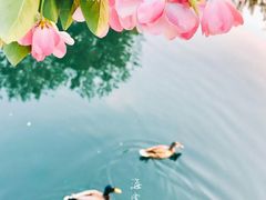 -海棠花溪(元大都城垣遗址公园)