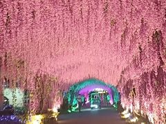 -广东花都香草世界旅游度假区