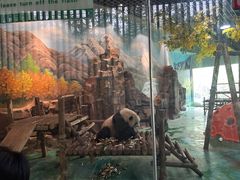 -五龙山野生动物王国