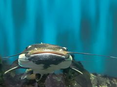 -海合安武汉极地海洋公园