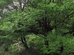 -金山公园