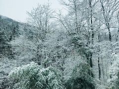 -武当山风景区