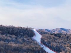 -东北亚滑雪场