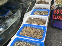 -渔家小院观海海肠捞饭地方菜(环海中路店)