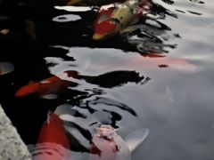 -径山寺