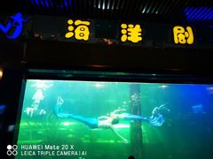 -洛阳龙门海洋馆