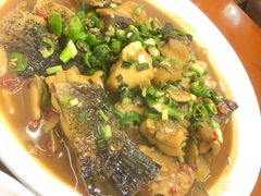 -全乐鱼馆·淳牌有机鱼直营店