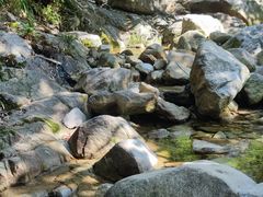 -西安祥峪森林公园