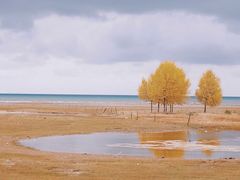 -青海湖国家重点风景名胜区