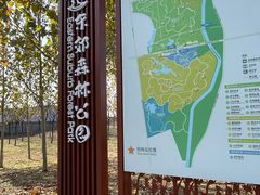 -东郊湿地公园