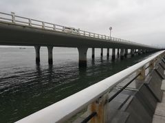 -演武大桥观景平台