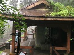 -阿里山神木遗迹