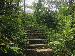 -青龙山国家森林公园
