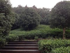 景点-天目湖山水园