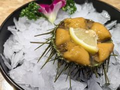 海胆-老大连·海肠捞饭·大连海鲜大连菜(西安路店)