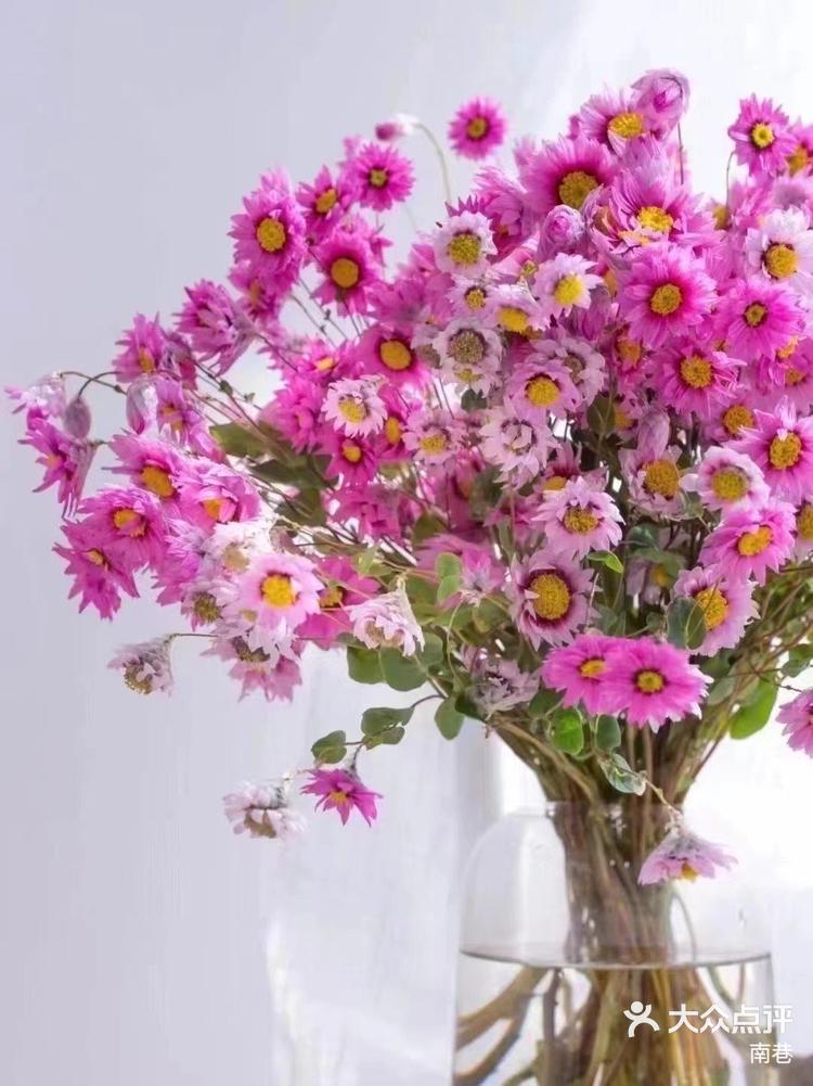 21日 9:19 关注 mark floristry|每日识花———鲁丹鸟花瓣偏白偏透明